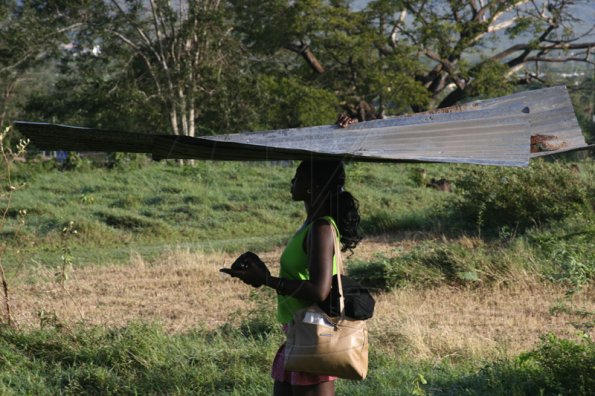 ZincLady20070824NS-2