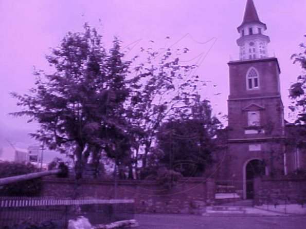 #12-PALM#3--Front-view-of-u