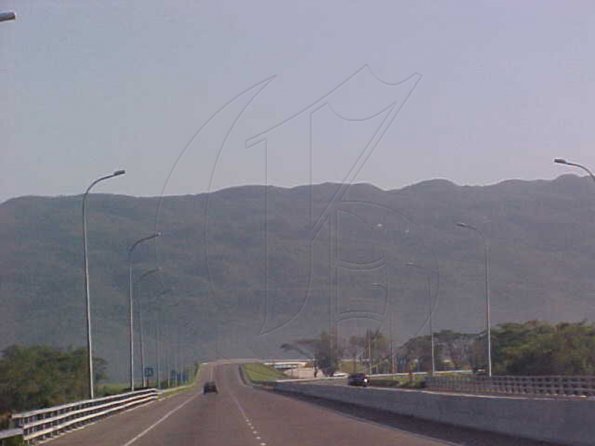 #9-STANDING-LIGHT-POSTS-Whe