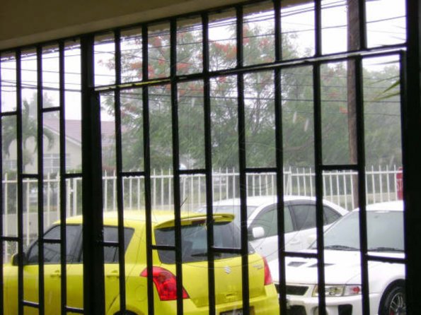 NICE-TREE-ON-EKINGS-HSE-RD-