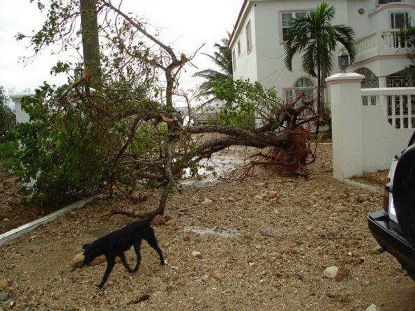 n555435391_1088064_2182