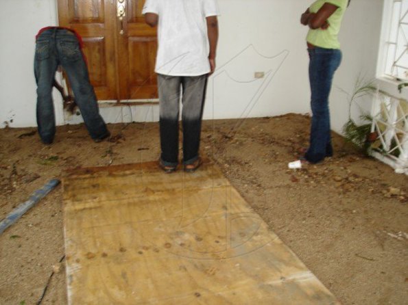 n555435391_1088067_2984