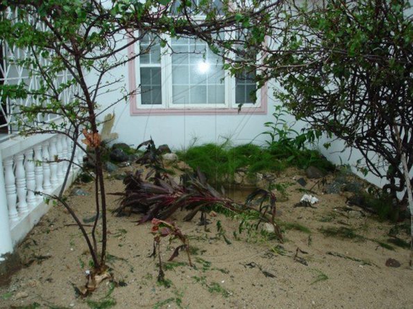 n555435391_1088068_3244