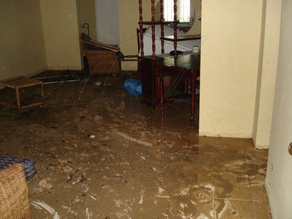 n555435391_1088070_3772