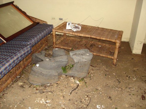 n555435391_1088071_4035