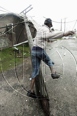 LongBayGustavC20080828RM