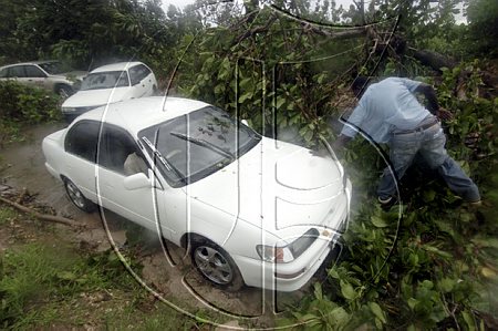 LongBayGustavG20080828RM