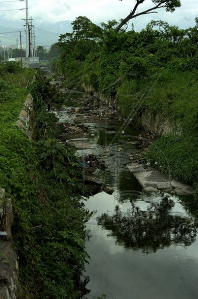 Junior Dowie / Staff Photographer
This Gully on Industrial Terrace need cleaning