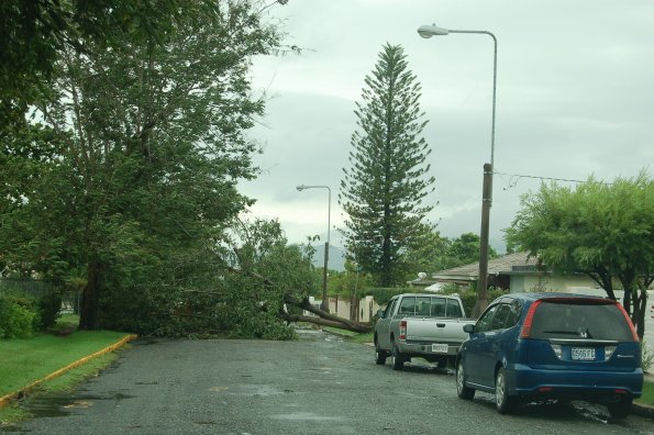 Post-gustav-tour-29th-aug08-022