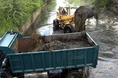Norman Grindley /Deputy Chief Photographer 
A tractor driver load a truck with mud and garbage from the Waterford main drain during a gully cleaning in Portmore yesterday.