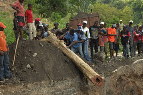 MavisBankD20080904IA